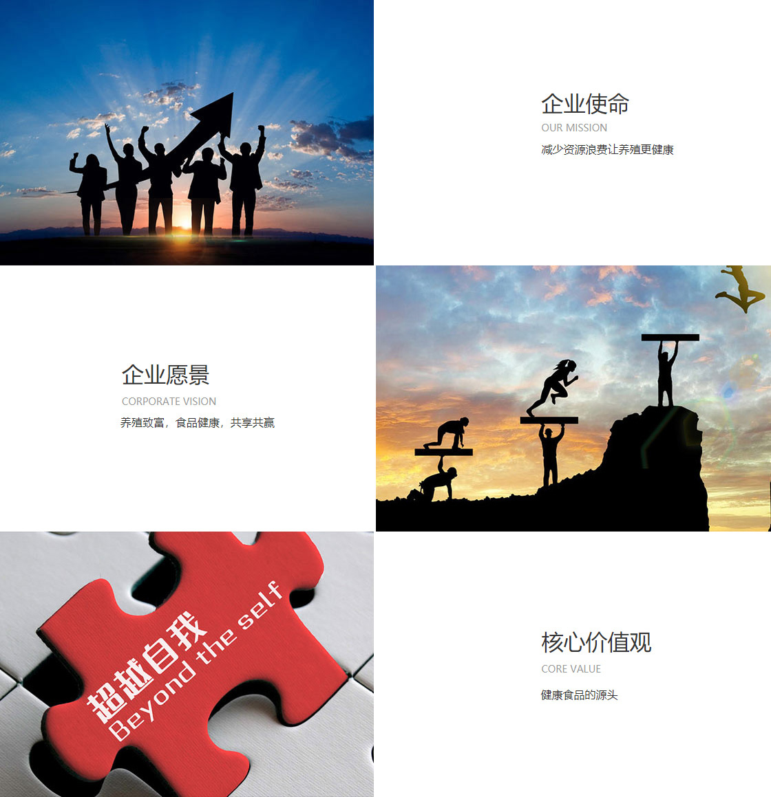 mile·米乐m6(图1)